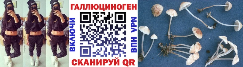 Псилоцибиновые грибы Cubensis  hydra ССЫЛКА  Усмань 